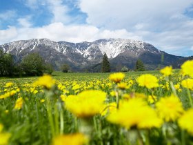 Blick auf den Schneeberg, &copy; &copy;Wiener Alpen, Foto: Franz Zwickl