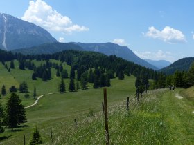 Auf der Mamauwiese Richtung Schoberalm, &copy; Wiener Alpen, Foto: Eva Gruber